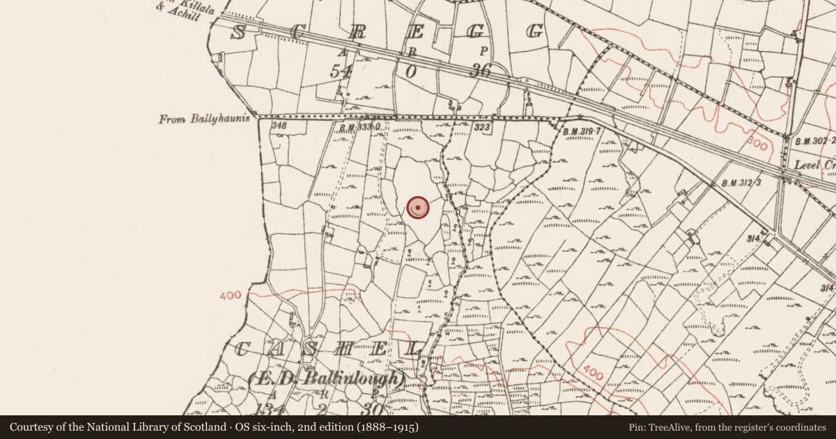 Ordnance Survey six-inch map, 2nd edition (1888–1915) covering the location of Ringfort - cashel, County Roscommon, with a pin at the register's coordinates