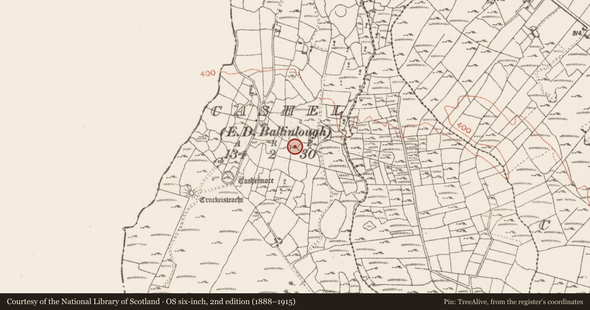 Ordnance Survey six-inch map, 2nd edition (1888–1915) covering the location of Ringfort - cashel, County Roscommon, with a pin at the register's coordinates