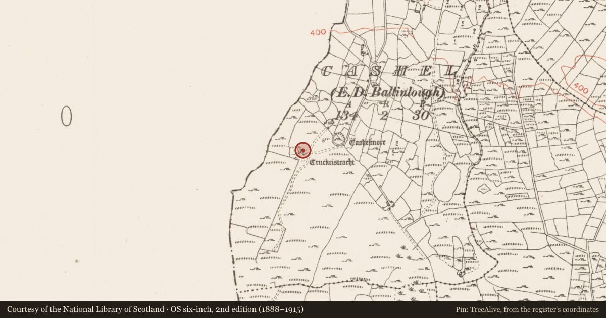 Ordnance Survey six-inch map, 2nd edition (1888–1915) covering the location of Building, Cashel, County Roscommon, with a pin at the register's coordinates