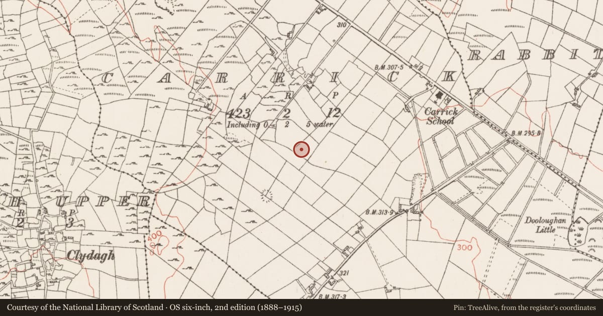 Ordnance Survey six-inch map, 2nd edition (1888–1915) covering the location of Ringfort - cashel, Carrick, County Roscommon, with a pin at the register's coordinates