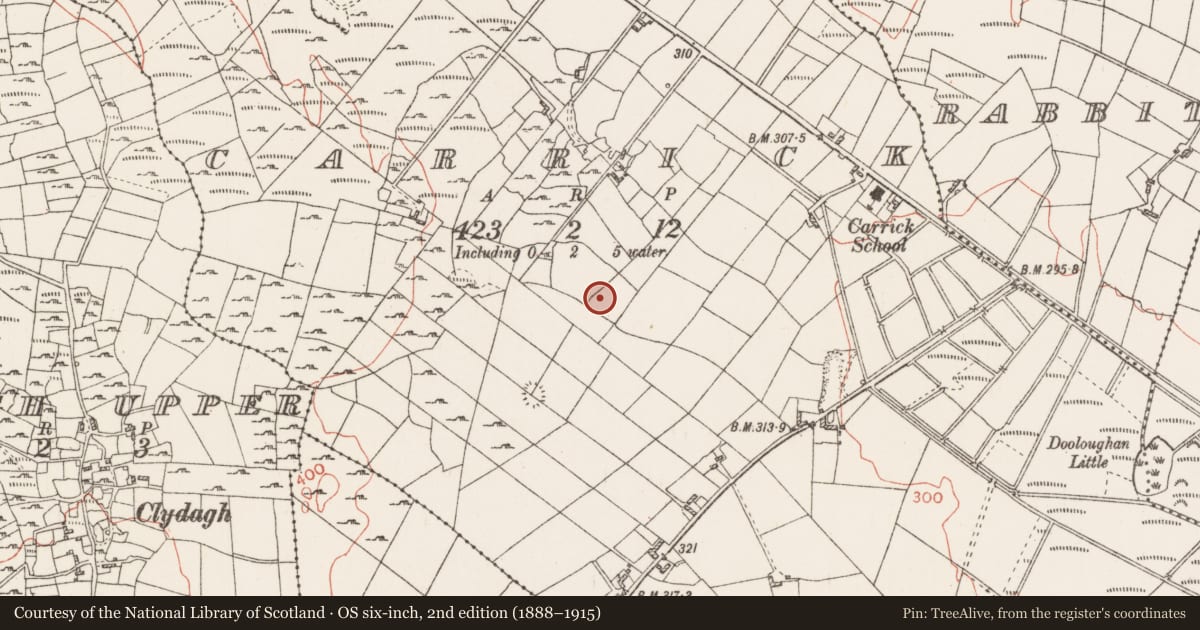Ordnance Survey six-inch map, 2nd edition (1888–1915) covering the location of House - indeterminate date, Carrick, County Roscommon, with a pin at the register's coordinates