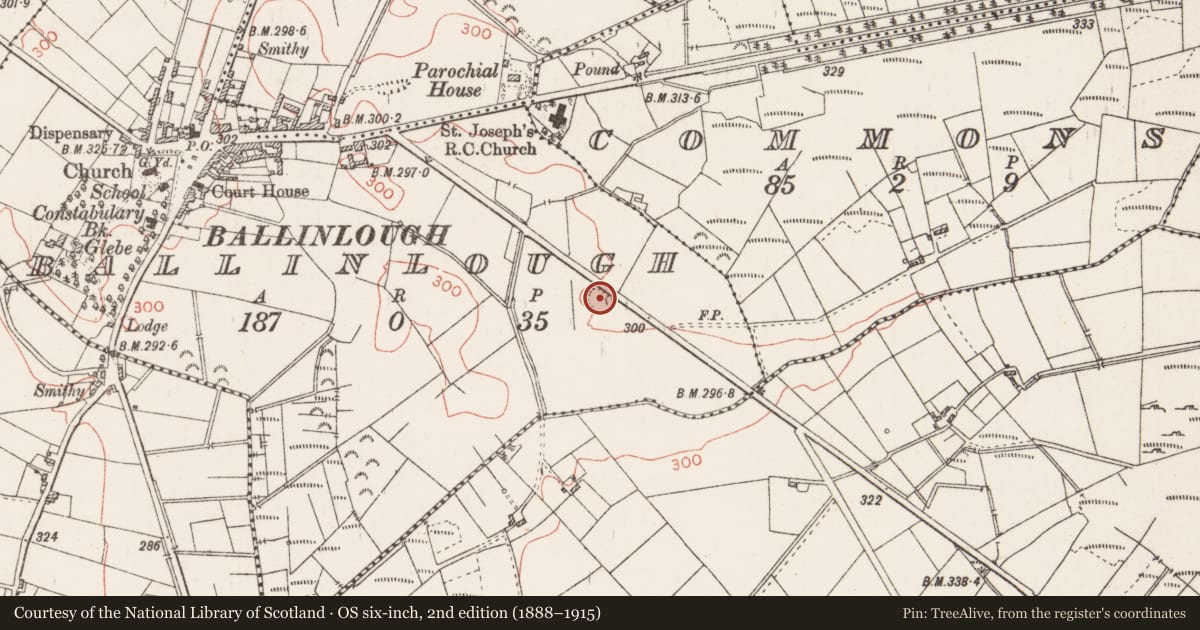 Ordnance Survey six-inch map, 2nd edition (1888–1915) covering the location of House - indeterminate date, Ballinlough, County Roscommon, with a pin at the register's coordinates