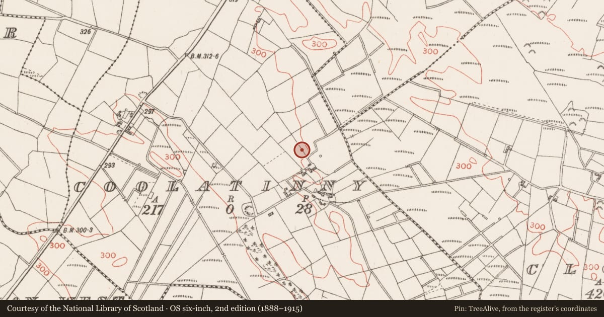 Ordnance Survey six-inch map, 2nd edition (1888–1915) covering the location of Hut site, Coolatinny, County Roscommon, with a pin at the register's coordinates