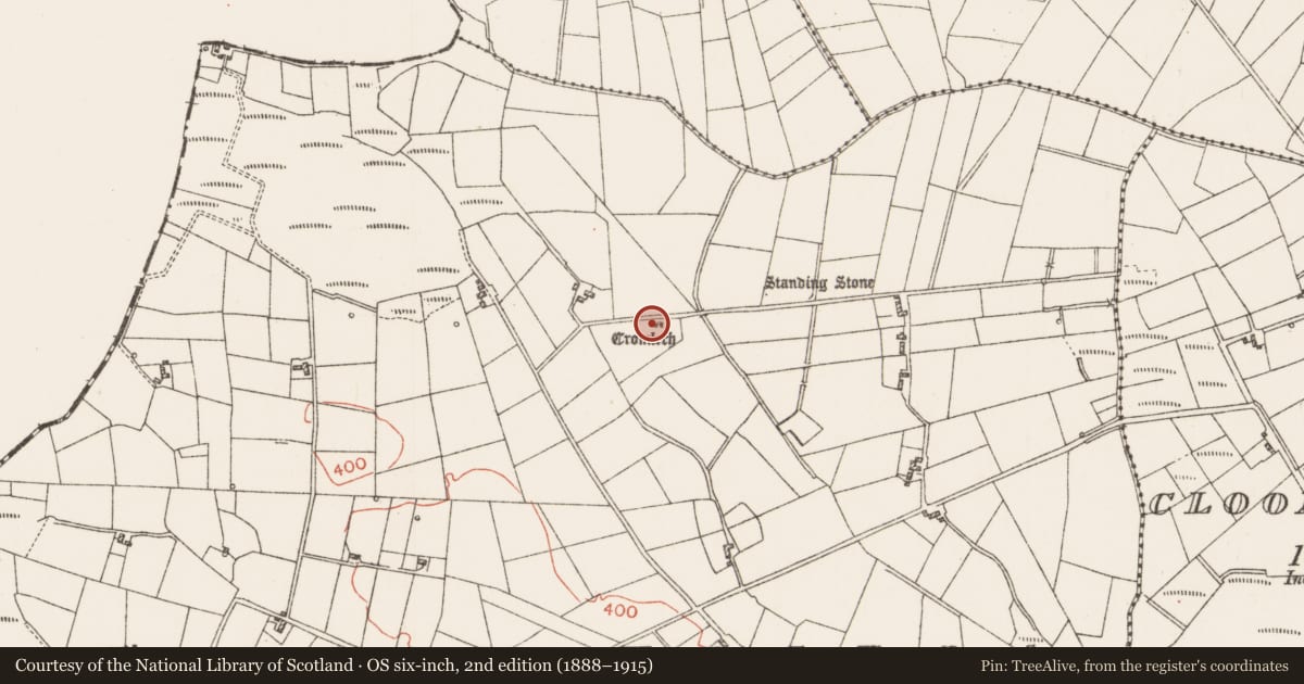Ordnance Survey six-inch map, 2nd edition (1888–1915) covering the location of Megalithic tomb - wedge tomb, Corrasluastia, County Roscommon, with a pin at the register's coordinates