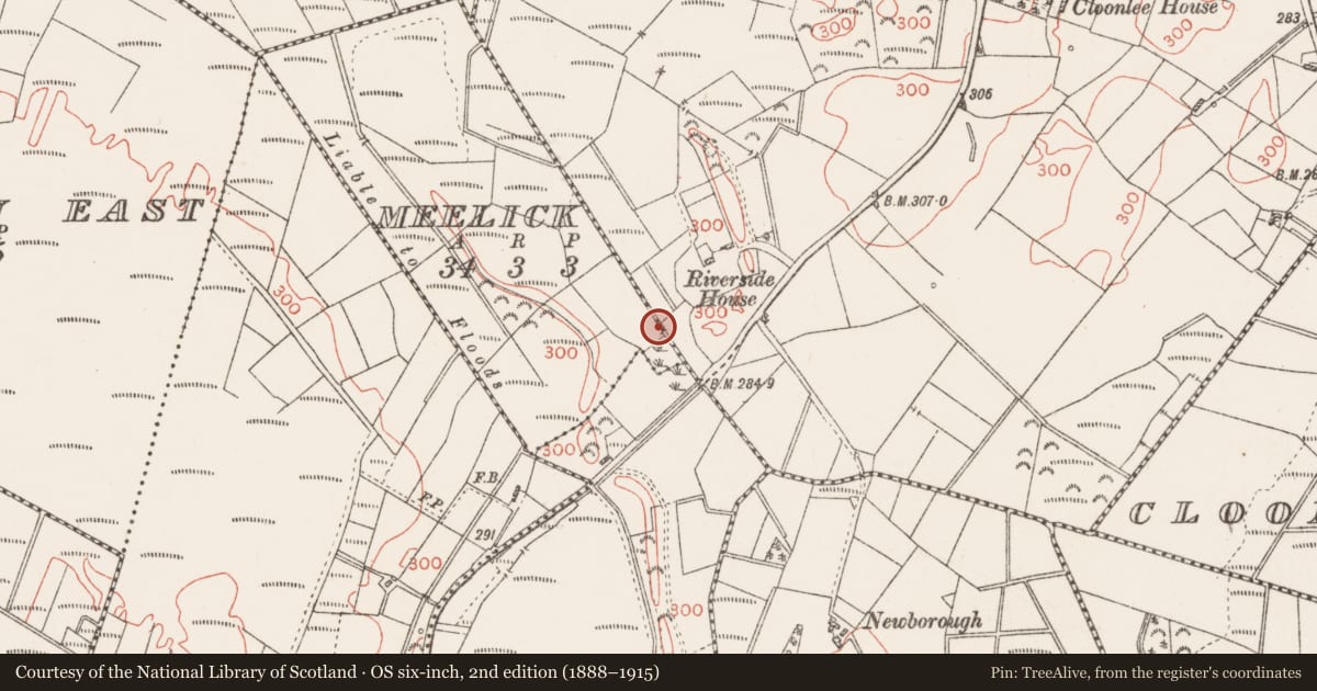 Ordnance Survey six-inch map, 2nd edition (1888–1915) covering the location of Mill - unclassified, Cloonlee, County Roscommon, with a pin at the register's coordinates