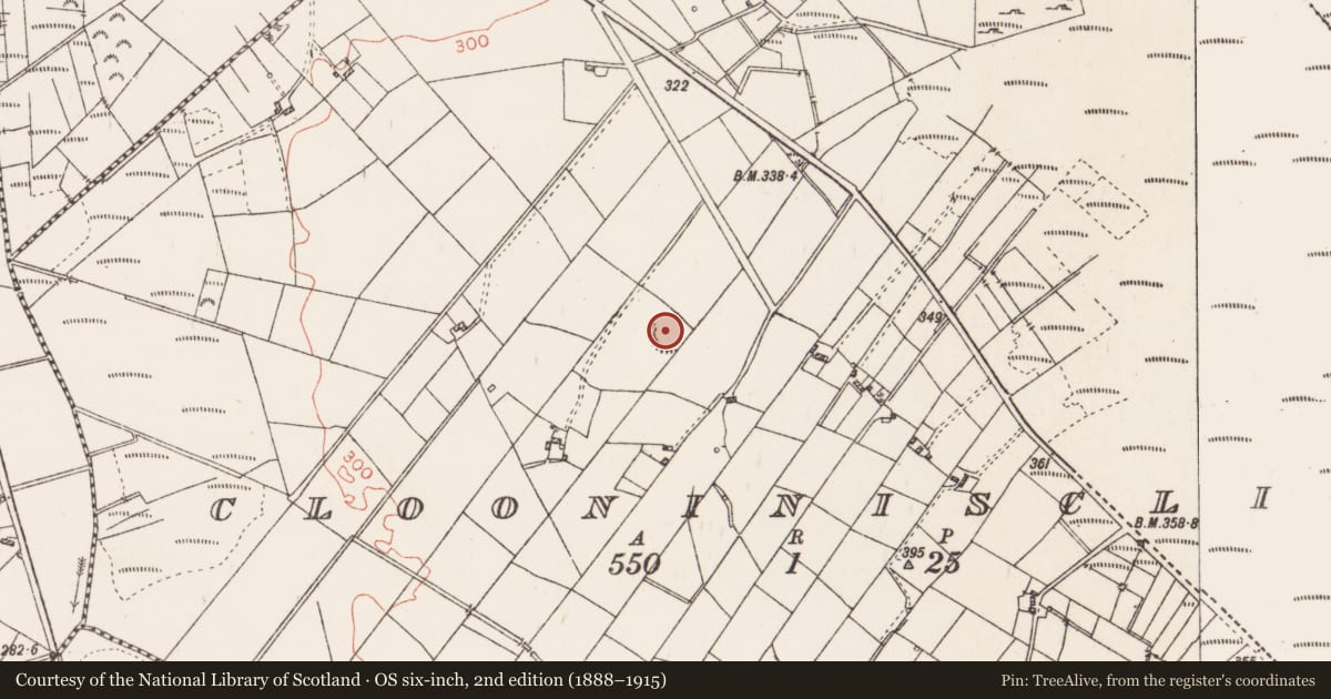 Ordnance Survey six-inch map, 2nd edition (1888–1915) covering the location of Ringfort - rath, Clooninisclin, County Roscommon, with a pin at the register's coordinates
