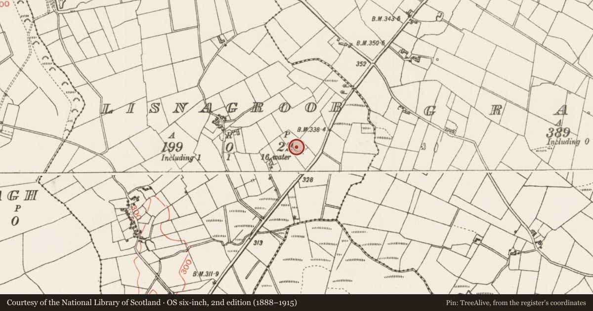 Ordnance Survey six-inch map, 2nd edition (1888–1915) covering the location of Ringfort - rath, Lisnagroob, County Roscommon, with a pin at the register's coordinates