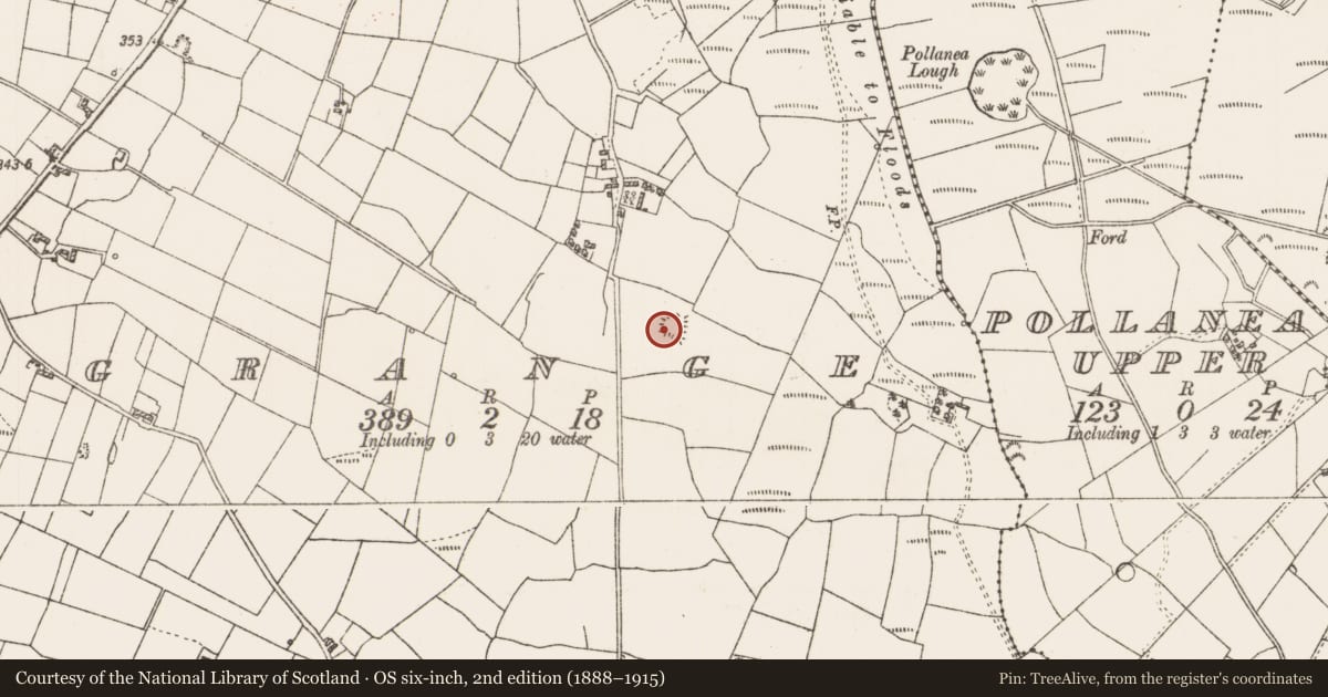 Ordnance Survey six-inch map, 2nd edition (1888–1915) covering the location of Ringfort - rath, Grange, County Roscommon, with a pin at the register's coordinates