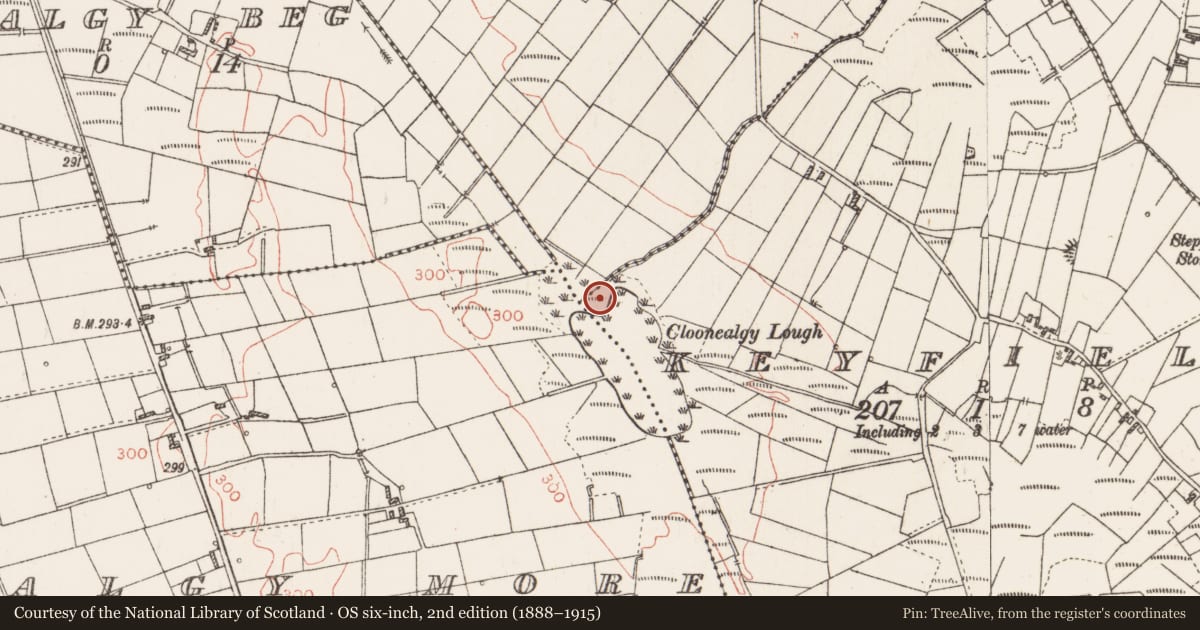 Ordnance Survey six-inch map, 2nd edition (1888–1915) covering the location of Crannog, Keyfield, County Roscommon, with a pin at the register's coordinates