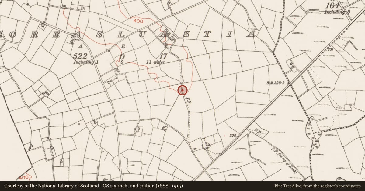 Ordnance Survey six-inch map, 2nd edition (1888–1915) covering the location of Cross, Corrasluastia, County Roscommon, with a pin at the register's coordinates