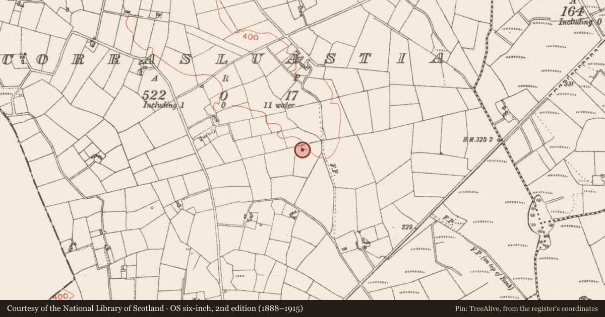 Ordnance Survey six-inch map, 2nd edition (1888–1915) covering the location of Standing stone, Corrasluastia, County Roscommon, with a pin at the register's coordinates
