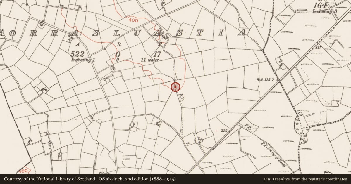 Ordnance Survey six-inch map, 2nd edition (1888–1915) covering the location of Cairn - unclassified, Corrasluastia, County Roscommon, with a pin at the register's coordinates