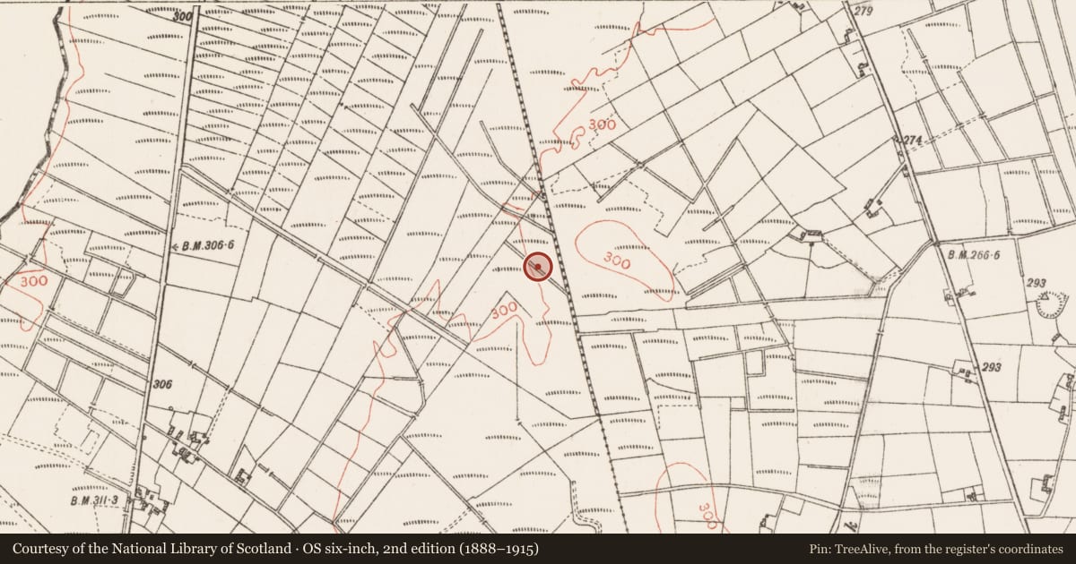 Ordnance Survey six-inch map, 2nd edition (1888–1915) covering the location of Road - unclassified togher, Clooncrim, County Roscommon, with a pin at the register's coordinates