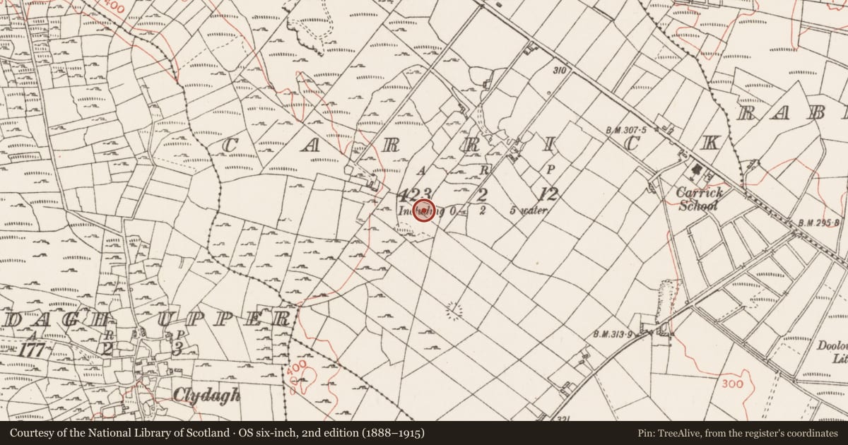 Ordnance Survey six-inch map, 2nd edition (1888–1915) covering the location of Cairn - clearance cairn, Carrick, County Roscommon, with a pin at the register's coordinates