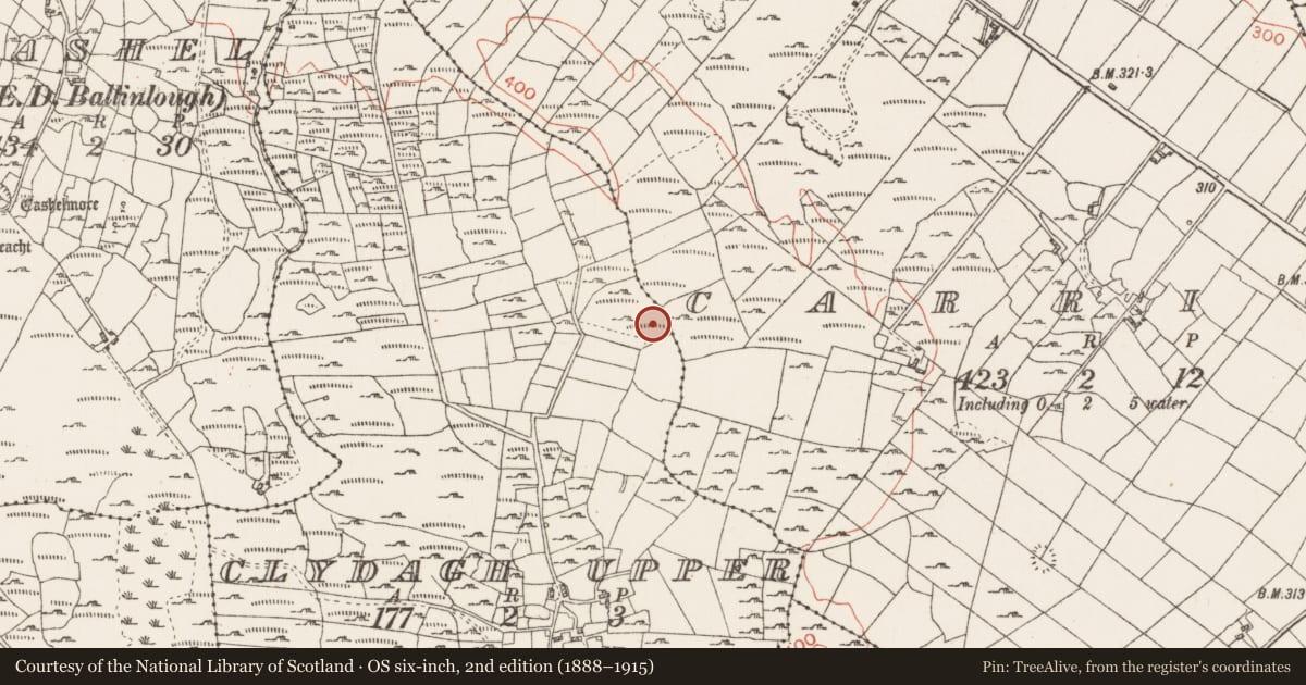 Ordnance Survey six-inch map, 2nd edition (1888–1915) covering the location of Sweathouse, Clydagh Upper, County Roscommon, with a pin at the register's coordinates