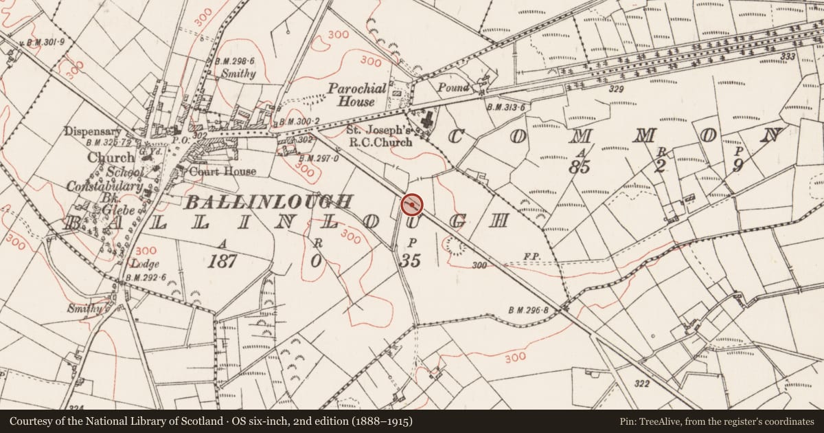Ordnance Survey six-inch map, 2nd edition (1888–1915) covering the location of Burnt mound, Ballinlough, County Roscommon, with a pin at the register's coordinates