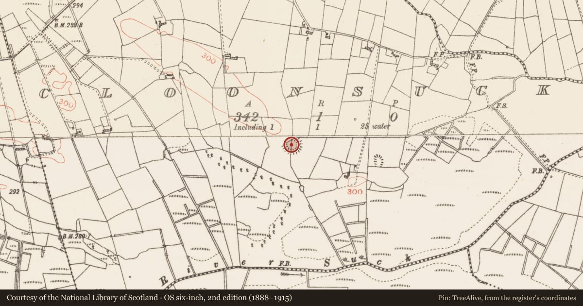 Ordnance Survey six-inch map, 2nd edition (1888–1915) covering the location of Ringfort - rath, Cloonsuck, County Roscommon, with a pin at the register's coordinates