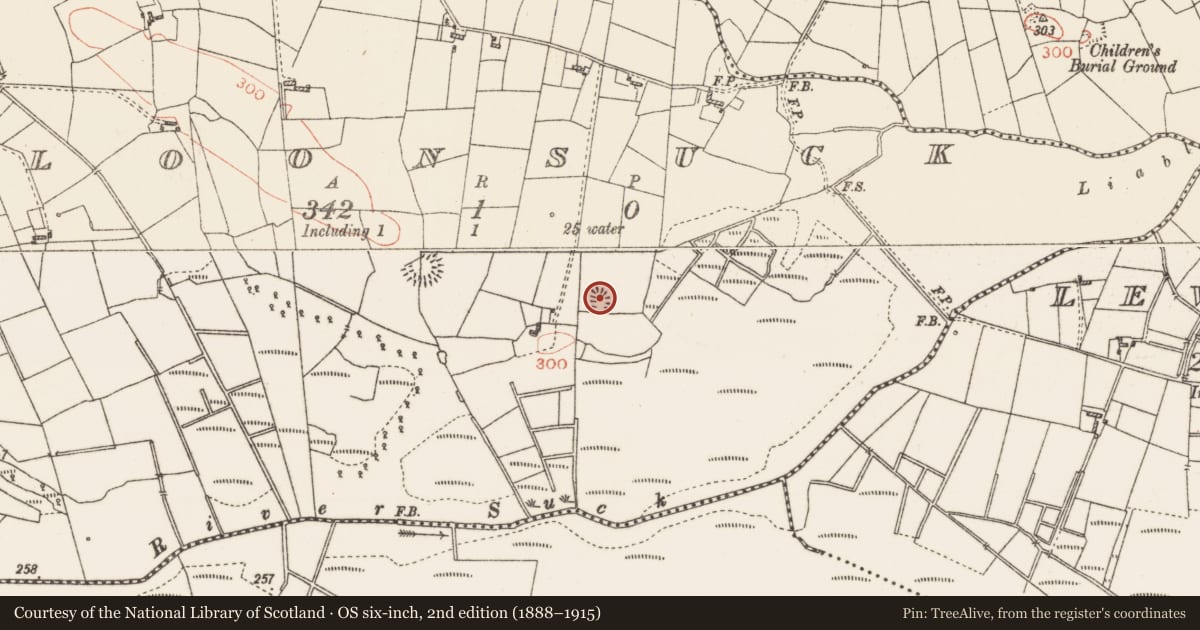 Ordnance Survey six-inch map, 2nd edition (1888–1915) covering the location of Ringfort - cashel, Cloonsuck, County Roscommon, with a pin at the register's coordinates