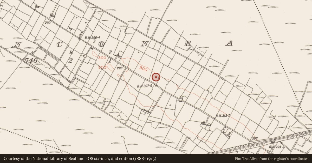 Ordnance Survey six-inch map, 2nd edition (1888–1915) covering the location of Earthwork, Cloonconra, County Roscommon, with a pin at the register's coordinates