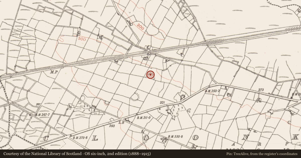 Ordnance Survey six-inch map, 2nd edition (1888–1915) covering the location of Hut site, Cloonkeen, County Roscommon, with a pin at the register's coordinates