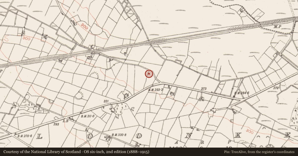 Ordnance Survey six-inch map, 2nd edition (1888–1915) covering the location of Ringfort - rath, Cloonkeen, County Roscommon, with a pin at the register's coordinates