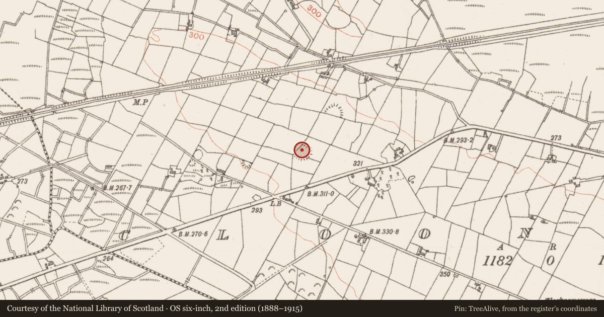 Ordnance Survey six-inch map, 2nd edition (1888–1915) covering the location of Ringfort - cashel, Cloonkeen, County Roscommon, with a pin at the register's coordinates