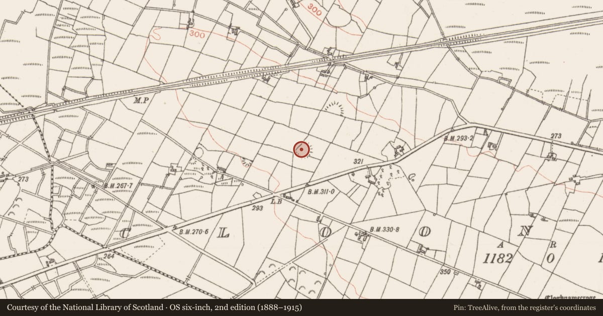 Ordnance Survey six-inch map, 2nd edition (1888–1915) covering the location of Cairn - clearance cairn, Cloonkeen, County Roscommon, with a pin at the register's coordinates