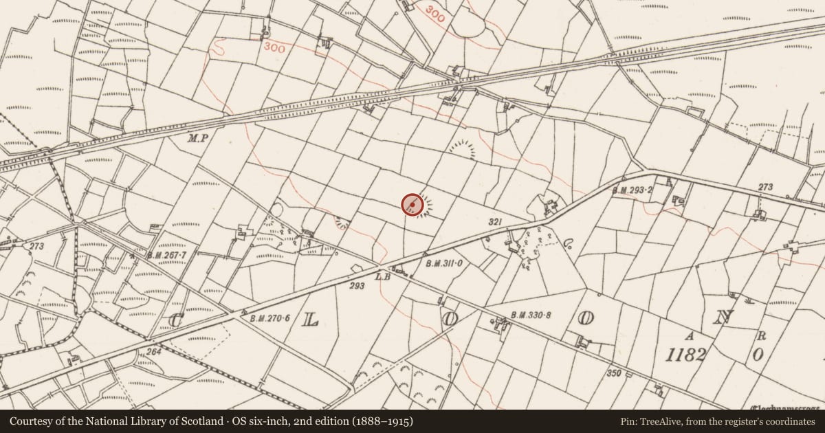 Ordnance Survey six-inch map, 2nd edition (1888–1915) covering the location of Souterrain, Cloonkeen, County Roscommon, with a pin at the register's coordinates