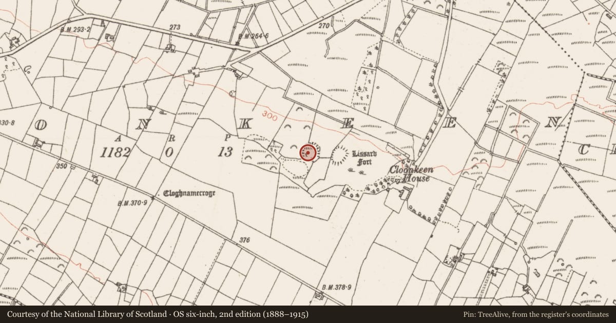 Ordnance Survey six-inch map, 2nd edition (1888–1915) covering the location of Ringfort - rath, Cloonkeen, County Roscommon, with a pin at the register's coordinates