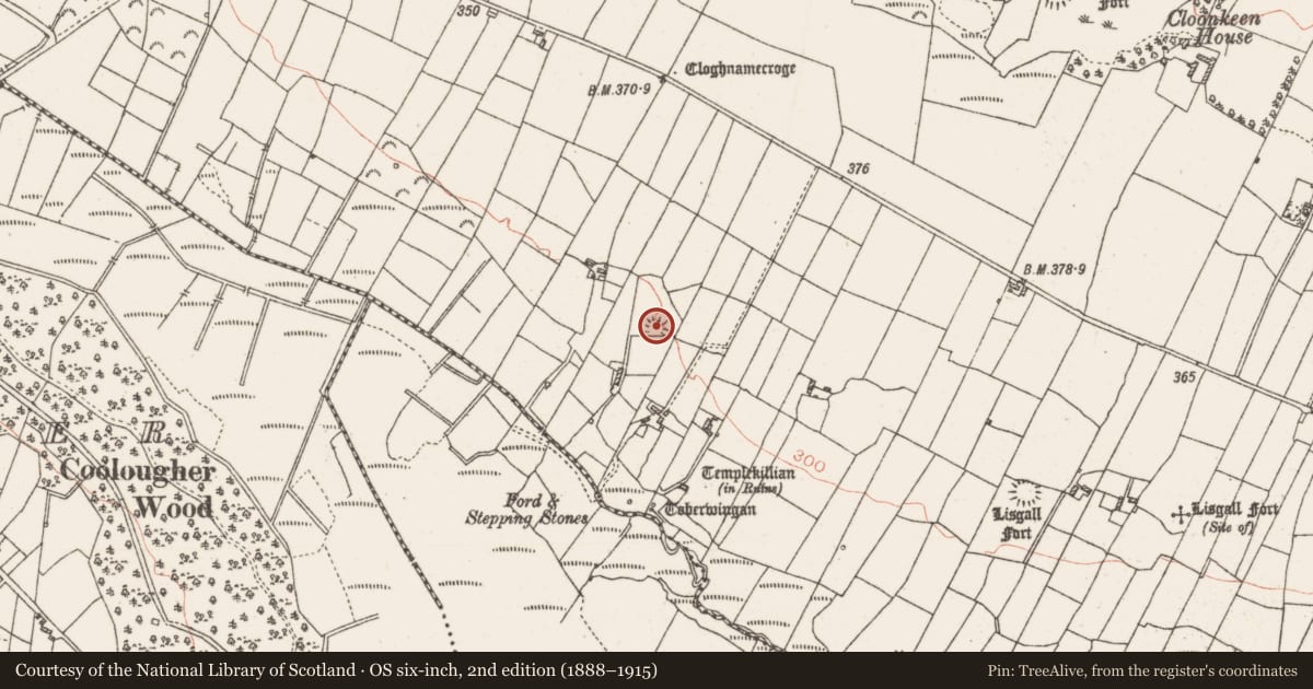 Ordnance Survey six-inch map, 2nd edition (1888–1915) covering the location of Ringfort - rath, Cloonkeen, County Roscommon, with a pin at the register's coordinates