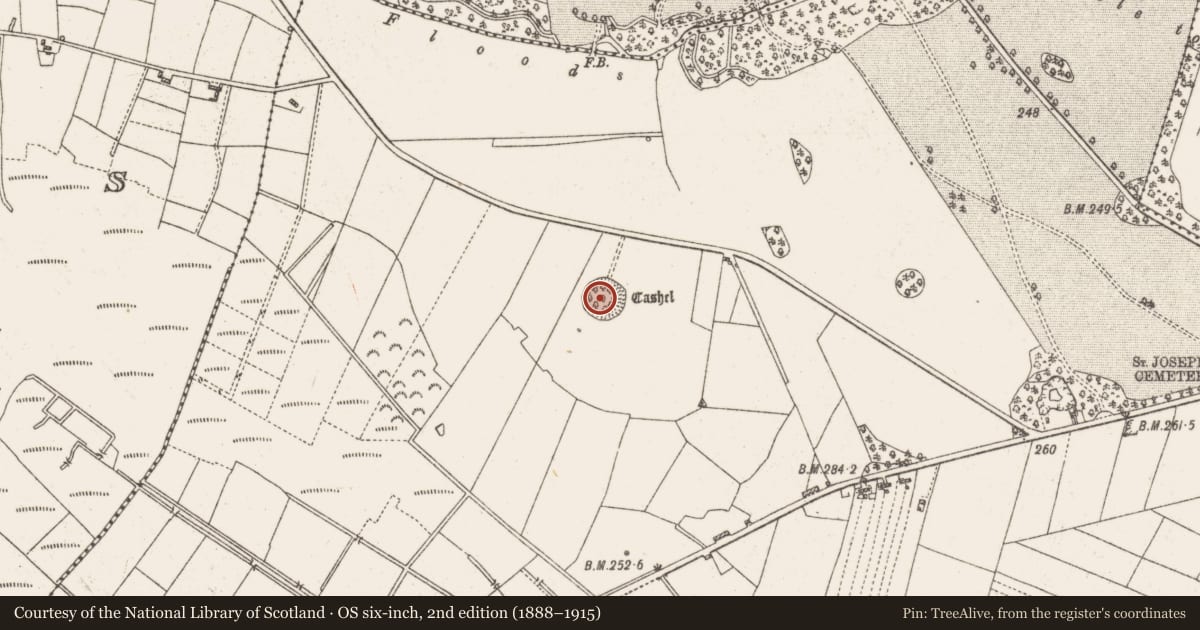 Ordnance Survey six-inch map, 2nd edition (1888–1915) covering the location of Ringfort - cashel, Arm, County Roscommon, with a pin at the register's coordinates