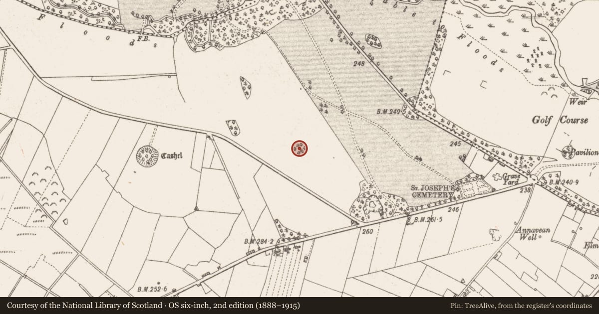 Ordnance Survey six-inch map, 2nd edition (1888–1915) covering the location of Designed landscape - tree-ring, Arm, County Roscommon, with a pin at the register's coordinates