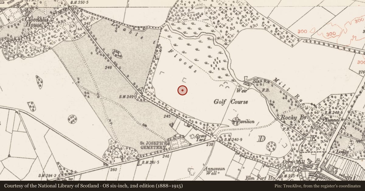 Ordnance Survey six-inch map, 2nd edition (1888–1915) covering the location of Enclosure, Arm, County Roscommon, with a pin at the register's coordinates