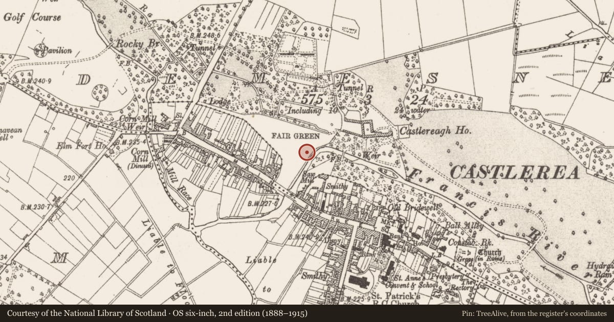 Ordnance Survey six-inch map, 2nd edition (1888–1915) covering the location of Ringfort - rath, Demesne, County Roscommon, with a pin at the register's coordinates