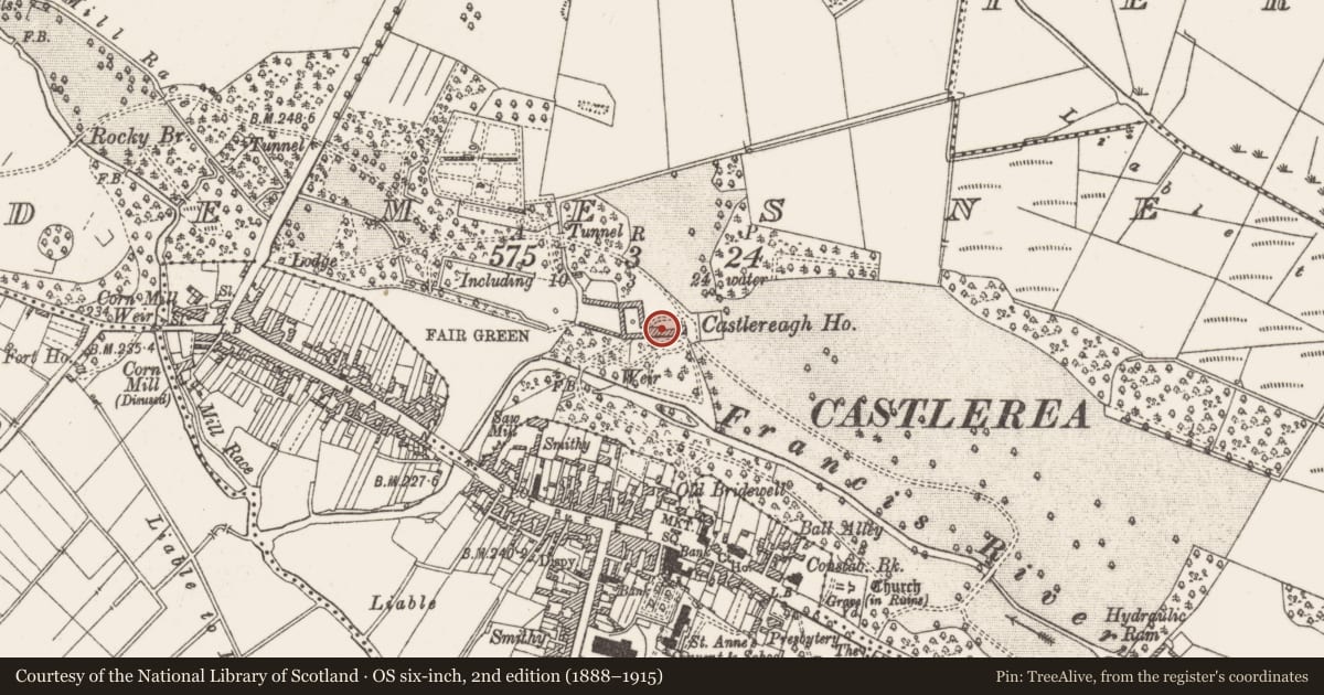 Ordnance Survey six-inch map, 2nd edition (1888–1915) covering the location of Castle - unclassified, Demesne, County Roscommon, with a pin at the register's coordinates