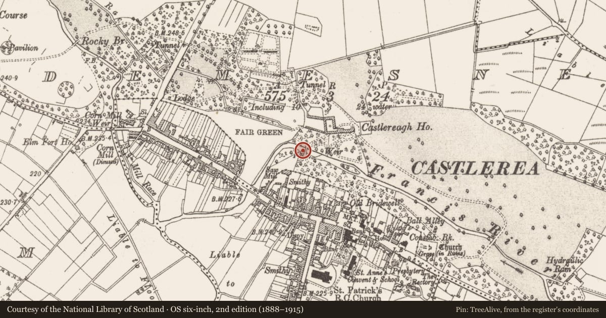 Ordnance Survey six-inch map, 2nd edition (1888–1915) covering the location of Bridge, Demesne, County Roscommon, with a pin at the register's coordinates