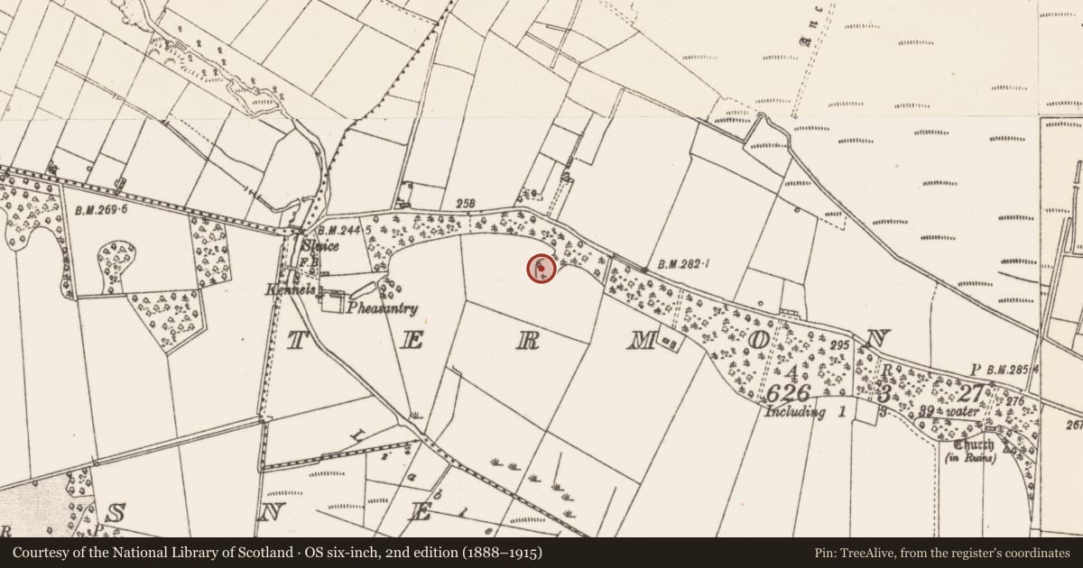 Ordnance Survey six-inch map, 2nd edition (1888–1915) covering the location of Enclosure, Termon More, County Roscommon, with a pin at the register's coordinates