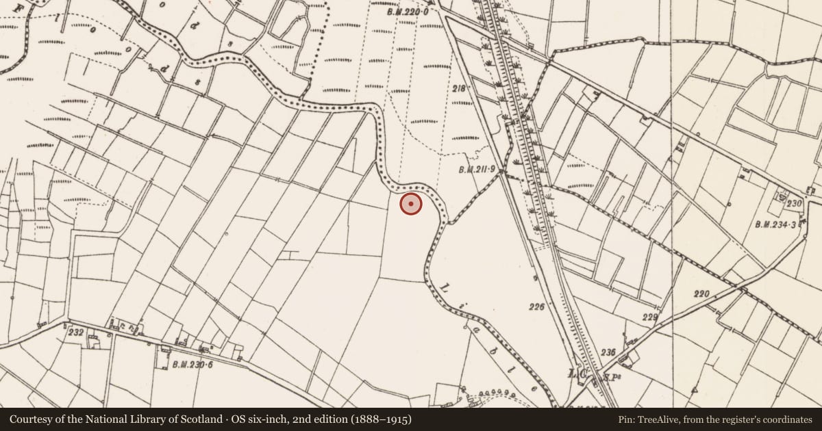 Ordnance Survey six-inch map, 2nd edition (1888–1915) covering the location of Enclosure, Willsbrook, County Roscommon, with a pin at the register's coordinates