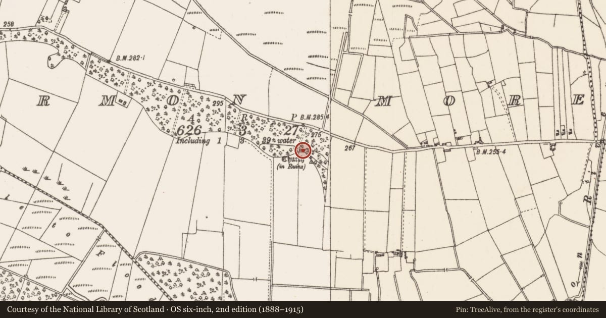 Ordnance Survey six-inch map, 2nd edition (1888–1915) covering the location of Church, Termon More, County Roscommon, with a pin at the register's coordinates