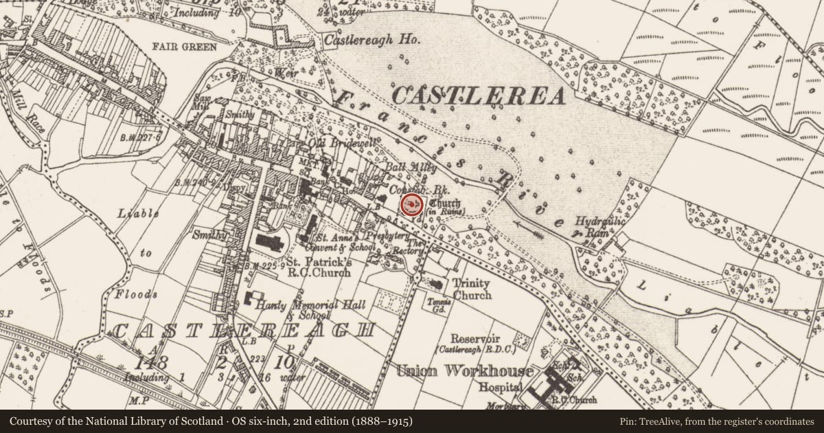 Ordnance Survey six-inch map, 2nd edition (1888–1915) covering the location of Church, Demesne, County Roscommon, with a pin at the register's coordinates