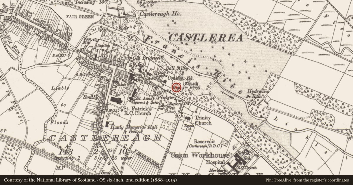 Ordnance Survey six-inch map, 2nd edition (1888–1915) covering the location of Graveyard, Demesne, County Roscommon, with a pin at the register's coordinates