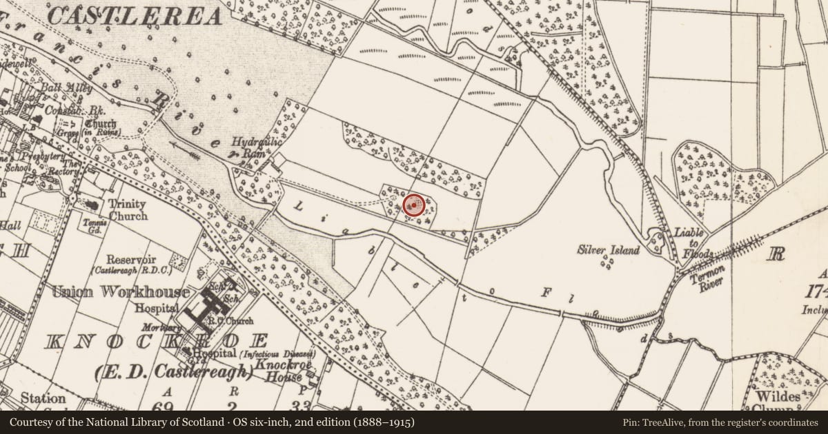 Ordnance Survey six-inch map, 2nd edition (1888–1915) covering the location of Quarry, Demesne, County Roscommon, with a pin at the register's coordinates