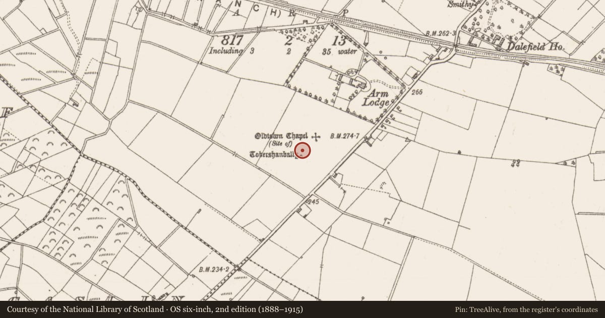 Ordnance Survey six-inch map, 2nd edition (1888–1915) covering the location of Settlement cluster, Arm, County Roscommon, with a pin at the register's coordinates