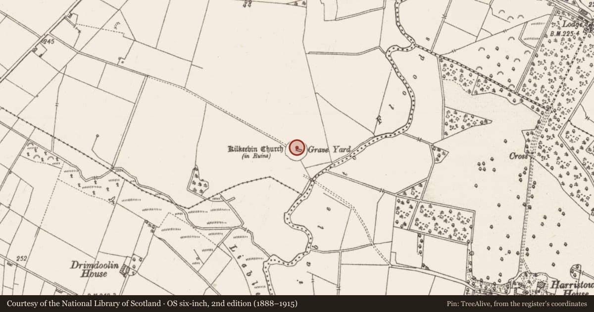 Ordnance Survey six-inch map, 2nd edition (1888–1915) covering the location of Church, Arm, County Roscommon, with a pin at the register's coordinates