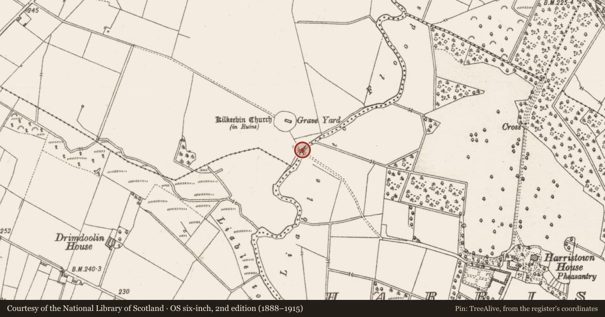 Ordnance Survey six-inch map, 2nd edition (1888–1915) covering the location of Ford, Arm, Harristown, County Roscommon, with a pin at the register's coordinates