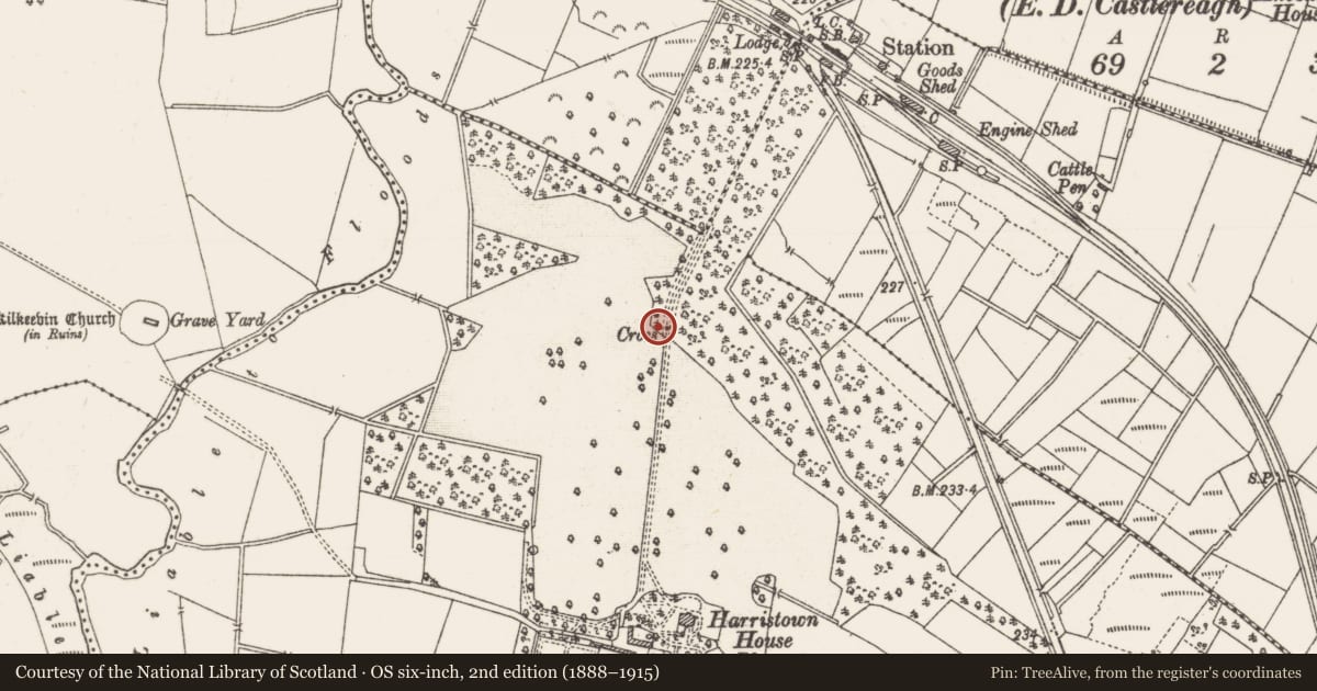 Ordnance Survey six-inch map, 2nd edition (1888–1915) covering the location of Cross, Harristown, County Roscommon, with a pin at the register's coordinates