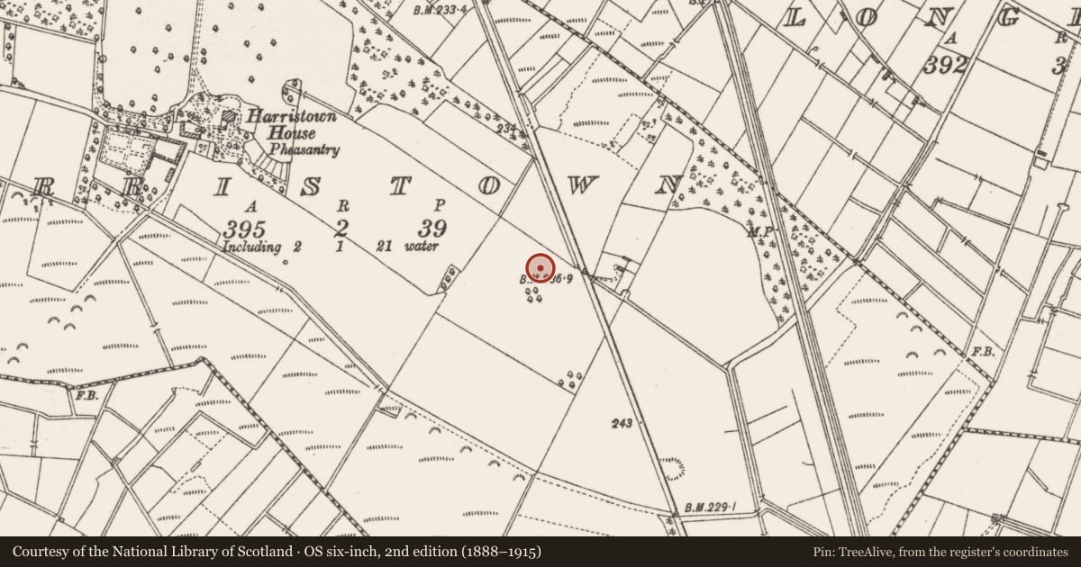 Ordnance Survey six-inch map, 2nd edition (1888–1915) covering the location of Burnt mound, Harristown, County Roscommon, with a pin at the register's coordinates