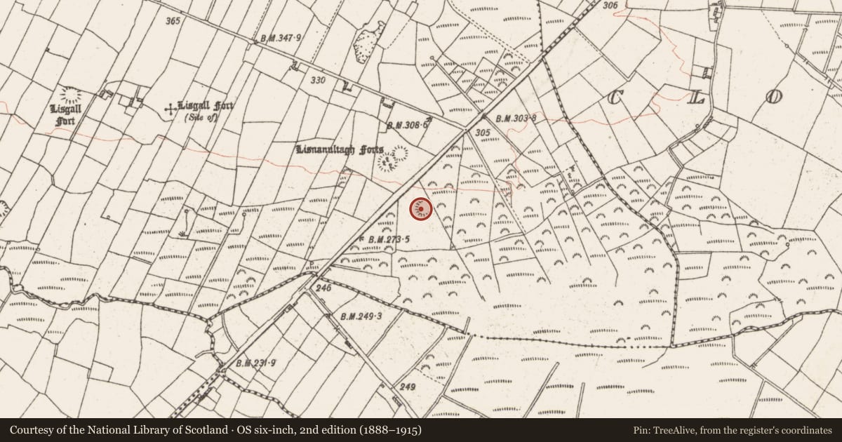 Ordnance Survey six-inch map, 2nd edition (1888–1915) covering the location of Ringfort - rath, Cloonkeen, County Roscommon, with a pin at the register's coordinates