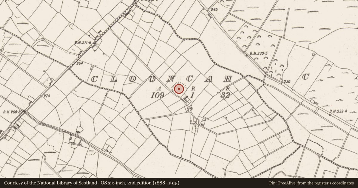 Ordnance Survey six-inch map, 2nd edition (1888–1915) covering the location of Ringfort - rath, Clooncah, County Roscommon, with a pin at the register's coordinates