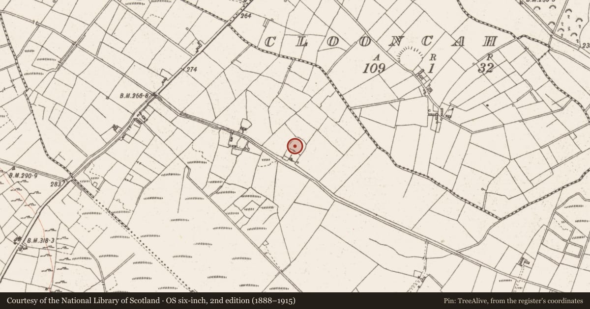Ordnance Survey six-inch map, 2nd edition (1888–1915) covering the location of Ringfort - rath, Creggancor, County Roscommon, with a pin at the register's coordinates
